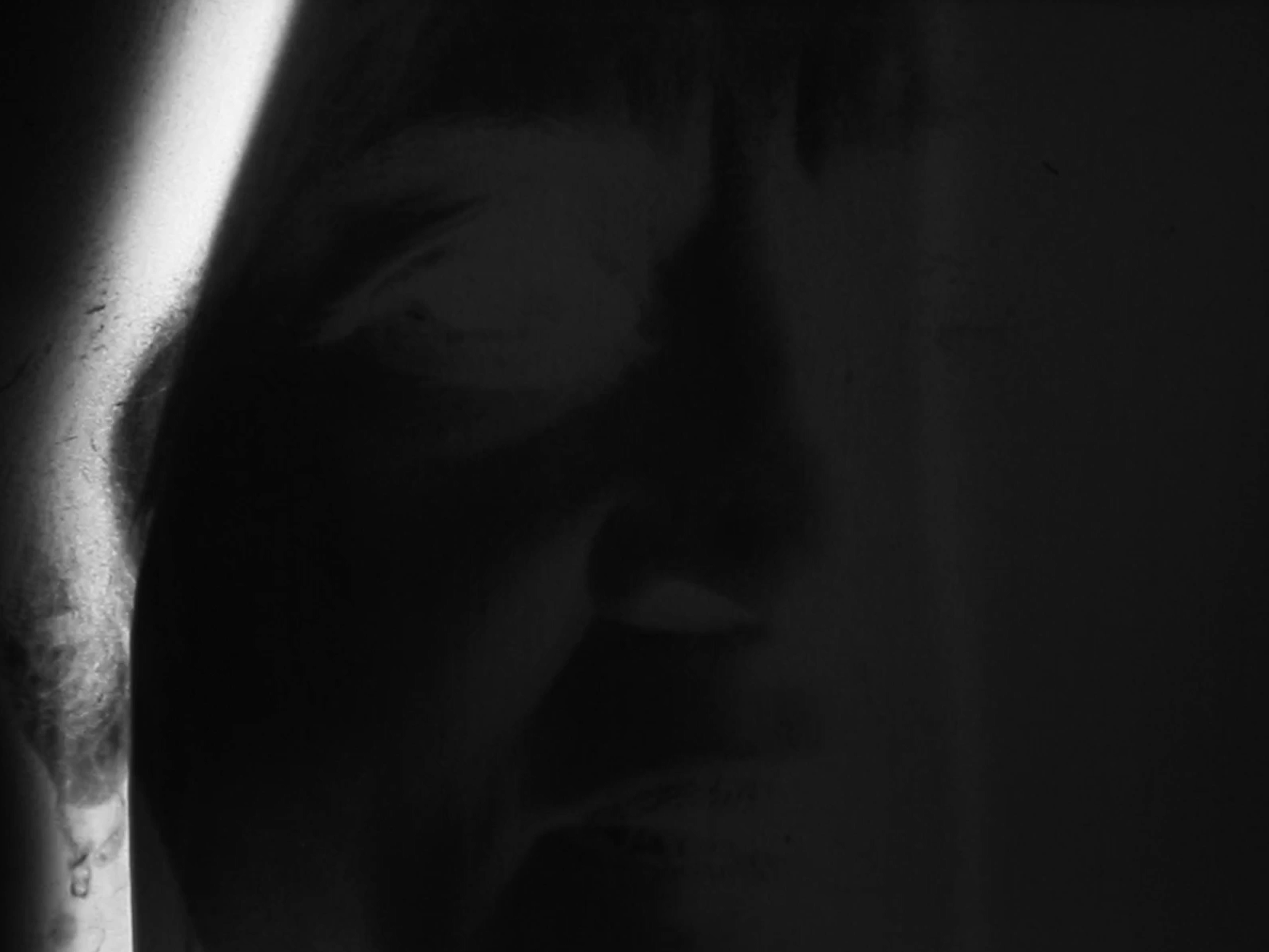 I wish i could have told you