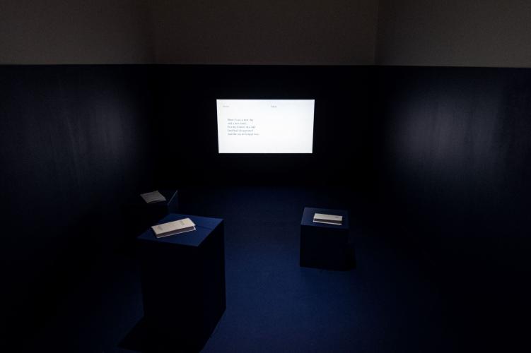Anna Raimondo – Derrière la mer, vue d'installation, Casino Luxembourg – Forum d'art contemporain, 2022