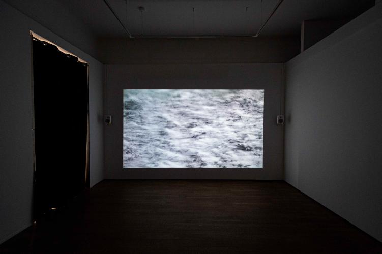 Daphné Le Sergent, Silver Memories, Casino Luxembourg – Forum d'art contemporain, 2021