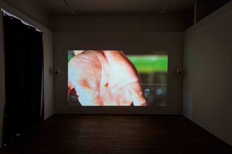 Daphné Le Sergent, Silver Memories, Casino Luxembourg – Forum d'art contemporain, 2021