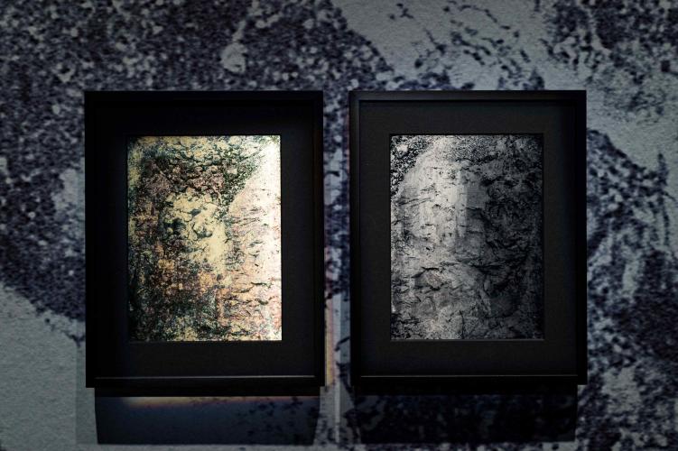 Daphné Le Sergent, Silver Memories, Casino Luxembourg – Forum d'art contemporain, 2021