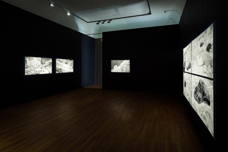 Daphné Le Sergent, Silver Memories, Casino Luxembourg – Forum d'art contemporain, 2021