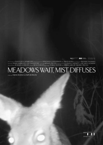Meadows Wait, Mist Diffuses (poster)
