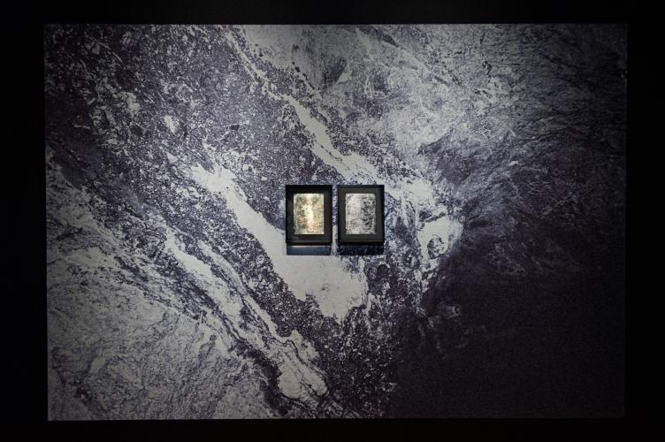 Vue de l'exposition Daphné Le Sergent – Silver Memories, 2021. Photo : Casino Luxembourg